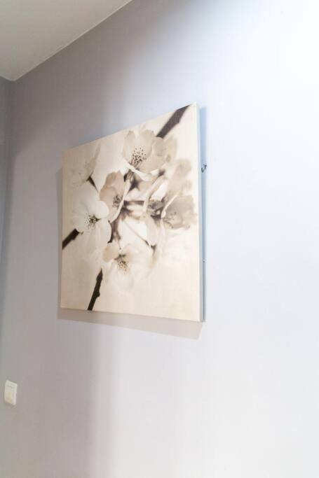 Apartmán Pasquin Cádiz Exteriér fotografie