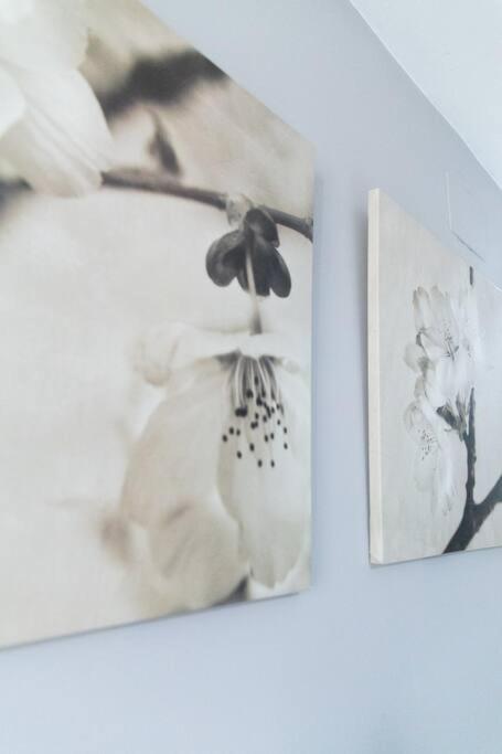 Apartmán Pasquin Cádiz Exteriér fotografie
